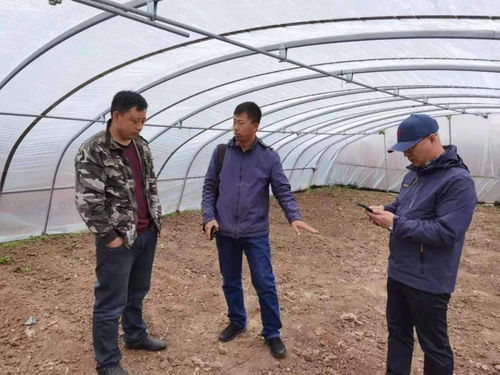 百份成绩开新局 学史力行庆华诞——市农业科学院100期科技助农网络课堂圆满结课